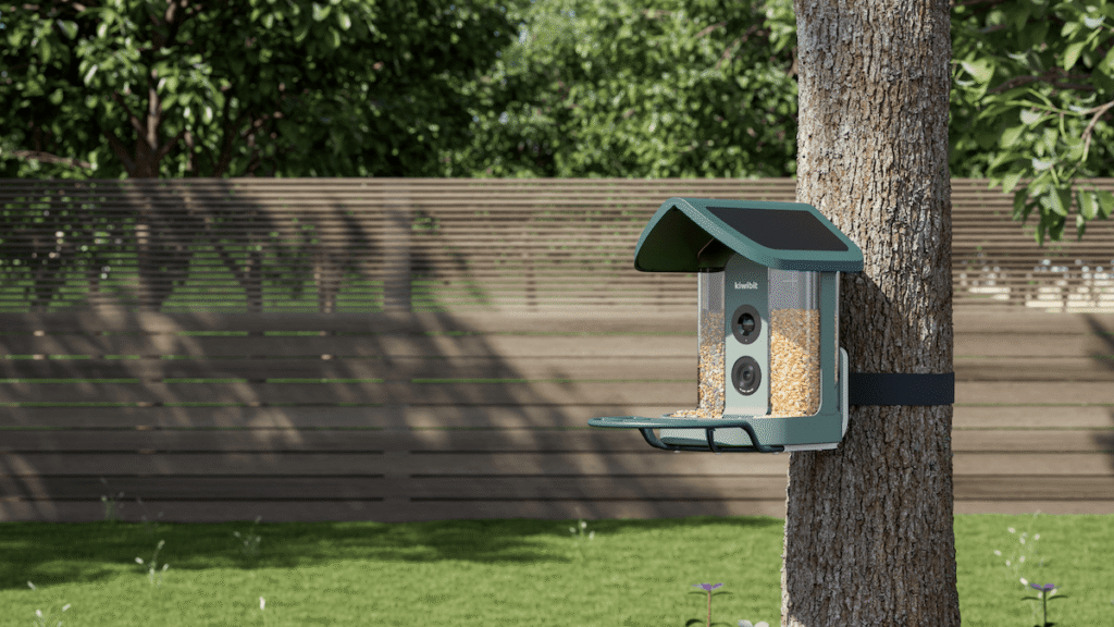 El comedero para pájaros impulsado por IA de Kiwibit es mi nuevo compañero en el jardín