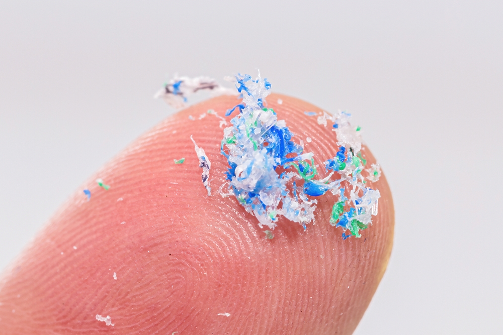 Por primera vez se mapean microplásticos en lo profundo del tejido vivo