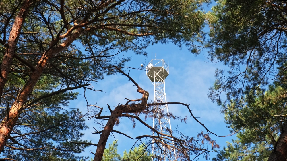 ¿Cuáles son las tendencias emergentes en la detección de incendios forestales?