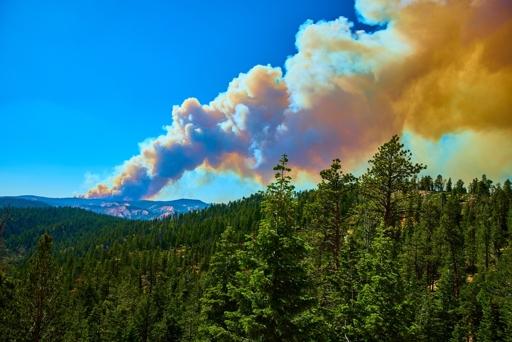 Las olas de calor aumentan significativamente el riesgo de incendios forestales, según un nuevo estudio