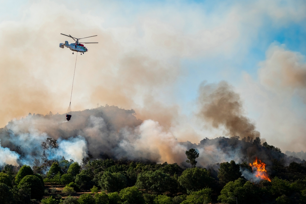 La UE envía trabajadores de emergencia y aviones a los incendios forestales en Portugal y Francia