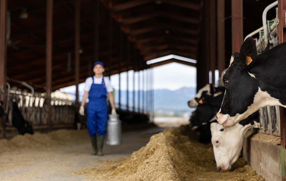 Reducir el consumo de carne y lácteos podría reducir las emisiones sin aumentar los costos dietéticos