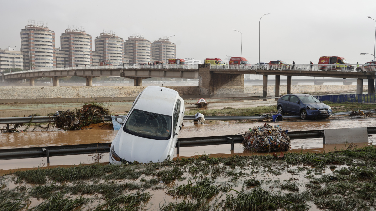 La jueza de Catarroja eleva a 232 las víctimas mortales que dejó la DANA de 2024 en València