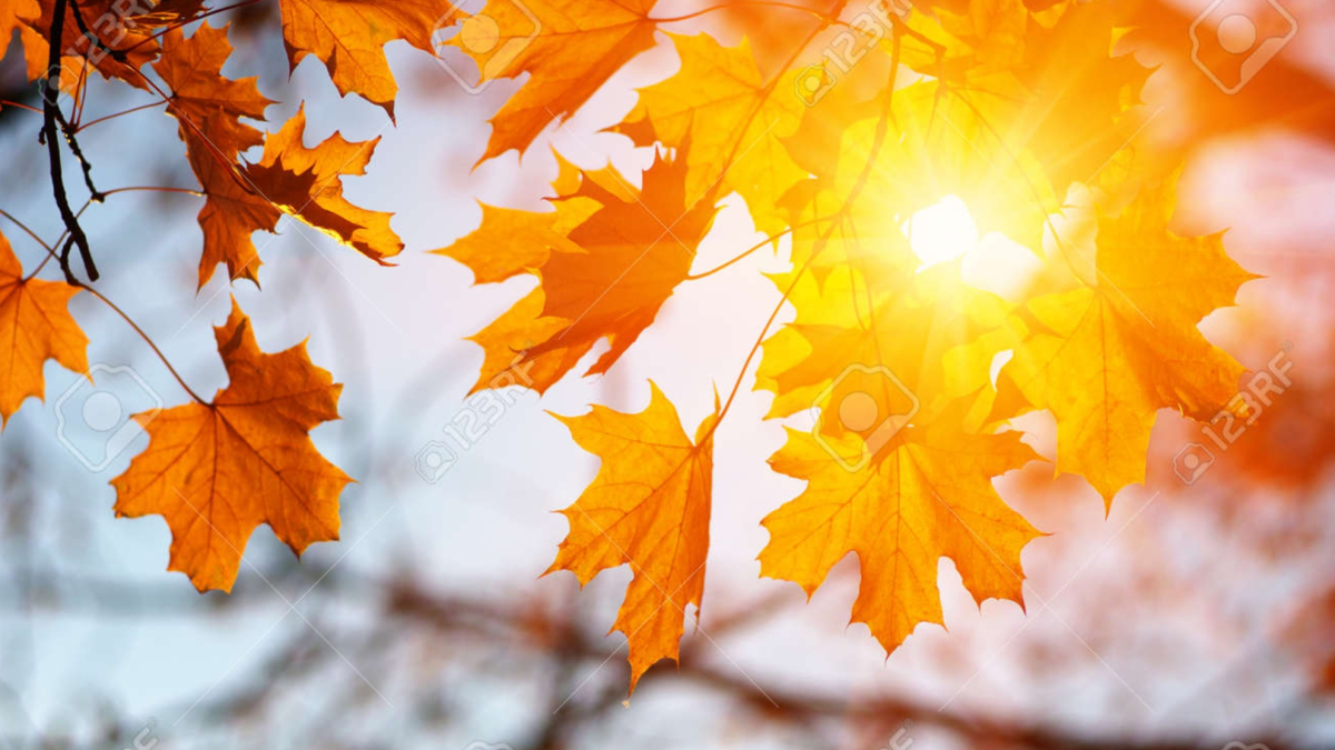 ojo a lo que ocurrirá en septiembre, octubre y noviembre