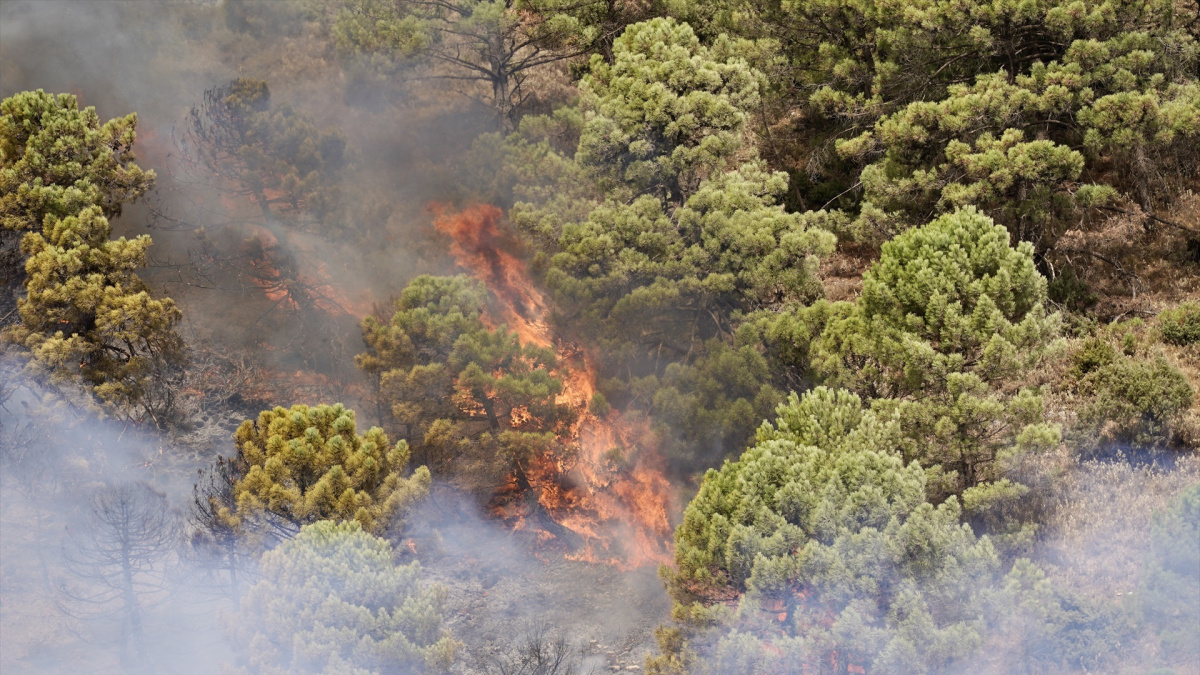 El Gobierno amplía la campaña contra los incendios forestales hasta el 31 de octubre por las «condiciones meteorológicas extremas»