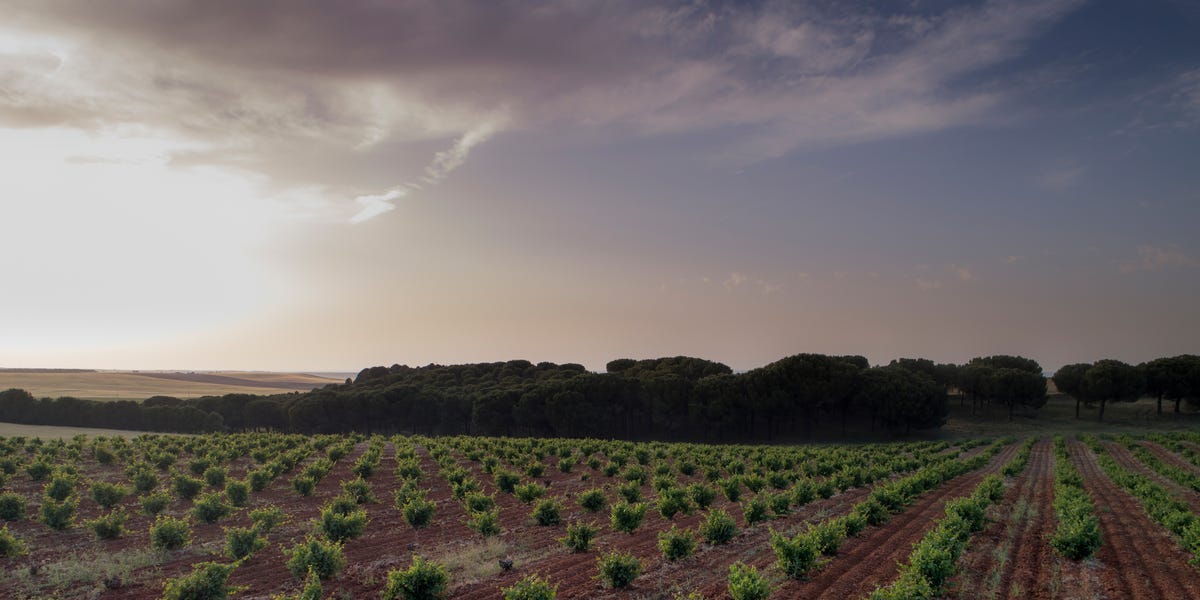 Origen, tiempo y una clara vocación gastronómica