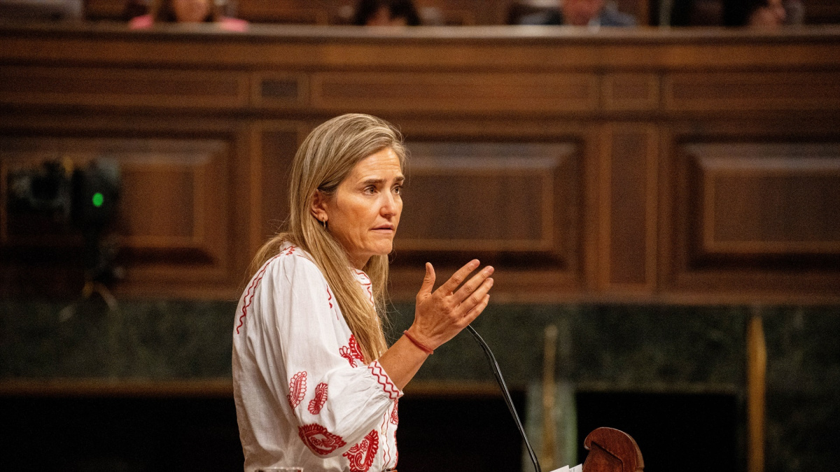 El juez del ‘caso Air Europa’ cita como testigos para la semana del 29N a Aagesen, De la Rocha y Errejón